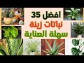 افضل 35 نبات زينة سهلة العناية The Best 35 Easy Care Ornamental Plants افضل 35 نبات زينة سهلة العناية The Best 35 Easy Care Ornamental Plants