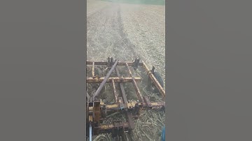 Taylor Way 9 Shank Chisel Plow