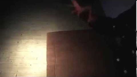 Maksym (PPP) Technical