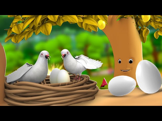 जादुई पेड़ कबूतर के अंडे - Magical Tree Pigeon Eggs 3D Animated Hindi Moral Stories for Kids JOJO TV class=
