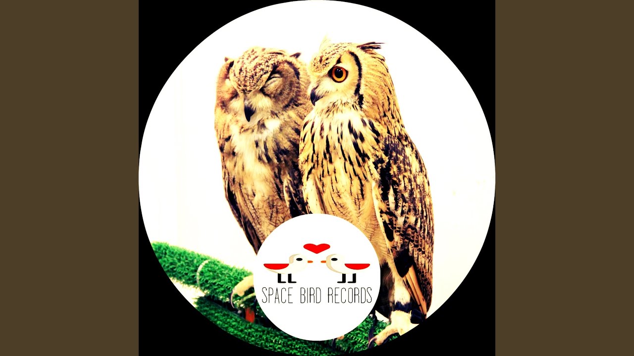 YouTubeでDark Ages (Original Mix)を視聴