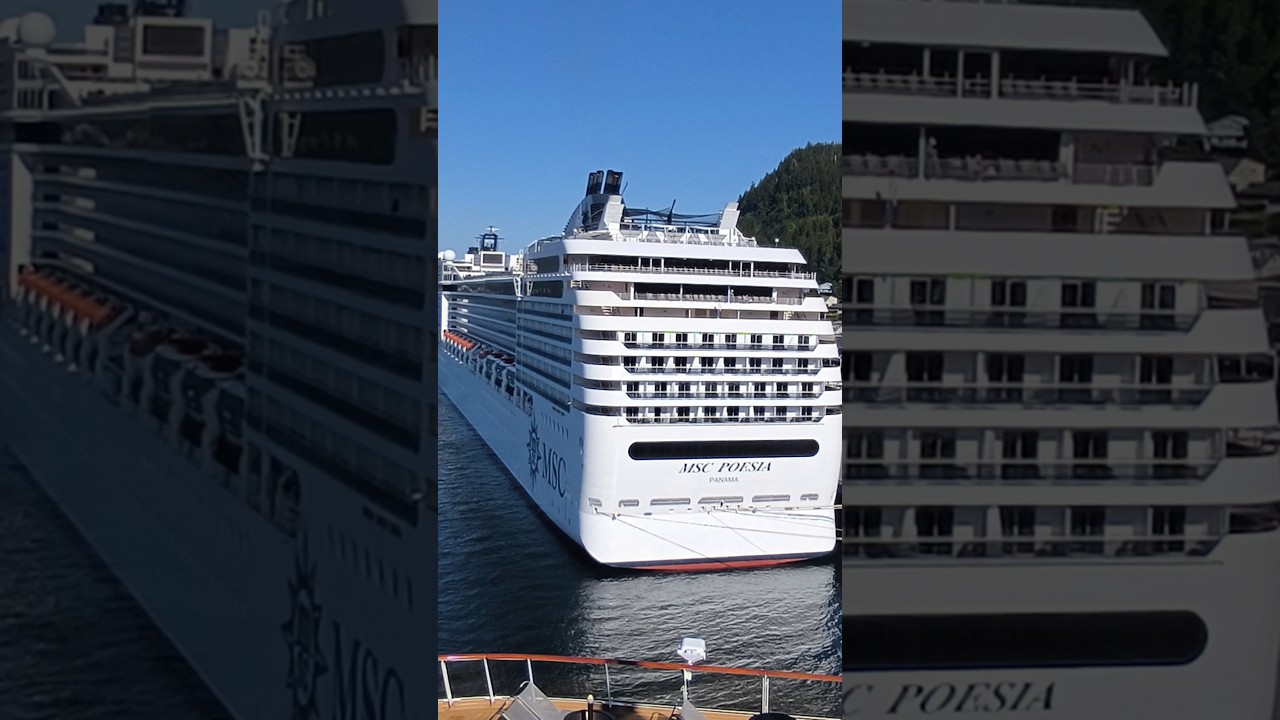 MSC POESIA #shorts # #cruiseship # #shortsfeed #travel #subscribe