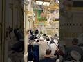 Masjid Al Nabwi in Oudh💚🌹#madina #love #riyazuljannah #naatsharif #ytshorts #shorts #sukoon #islam
