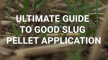 Ultimate guide to good slug pellet application