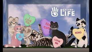 Kittycats 日本語マニュアル Second Life 美少女アバター Wiki