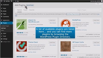 How to manage WordPress plugins