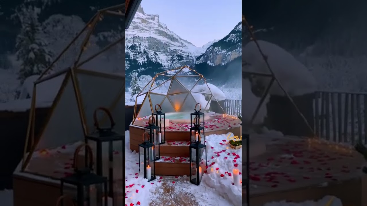 Vacation in your mind? 🌳🏝💕