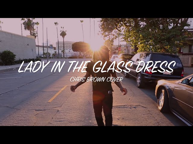 lady in the glass dress lyrics Chris Brown