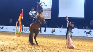 Flamenco Dance with Horse
