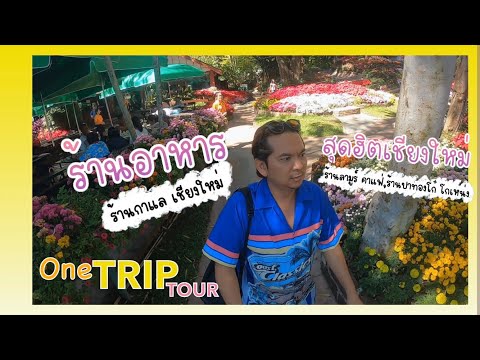 EP:26 ร้านอาหารยอดฮิตเชียงใหม่ #ร้านกาแลเชียงใหม่ #ร้านลามูร์คาเฟ่ #ร้านปาท่องโก๋ โกเหน่ง