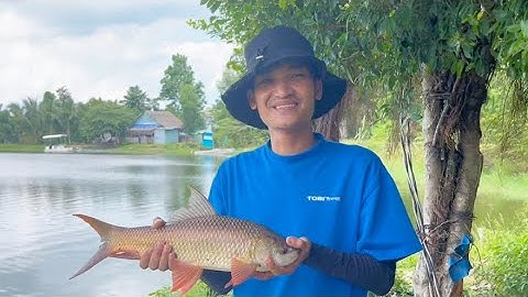 Mạc Văn Khoa về quê Vợ câu cá 🤣 Vừa Vui, Vừa Lầy , Vừa Có Cá !!!!