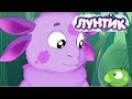 Лунтик | Добро 🤲 Сборник мультфильмов для детей