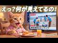 【感動】絵の夢を一旦手放したここにゃん…たった1日で「ビーチのヒーロー」になった！🏖️🐱✨