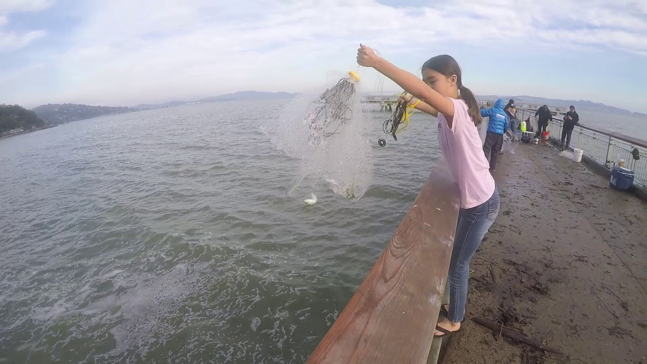 Cast Netting for Herring in San Francisco Bay YouTube