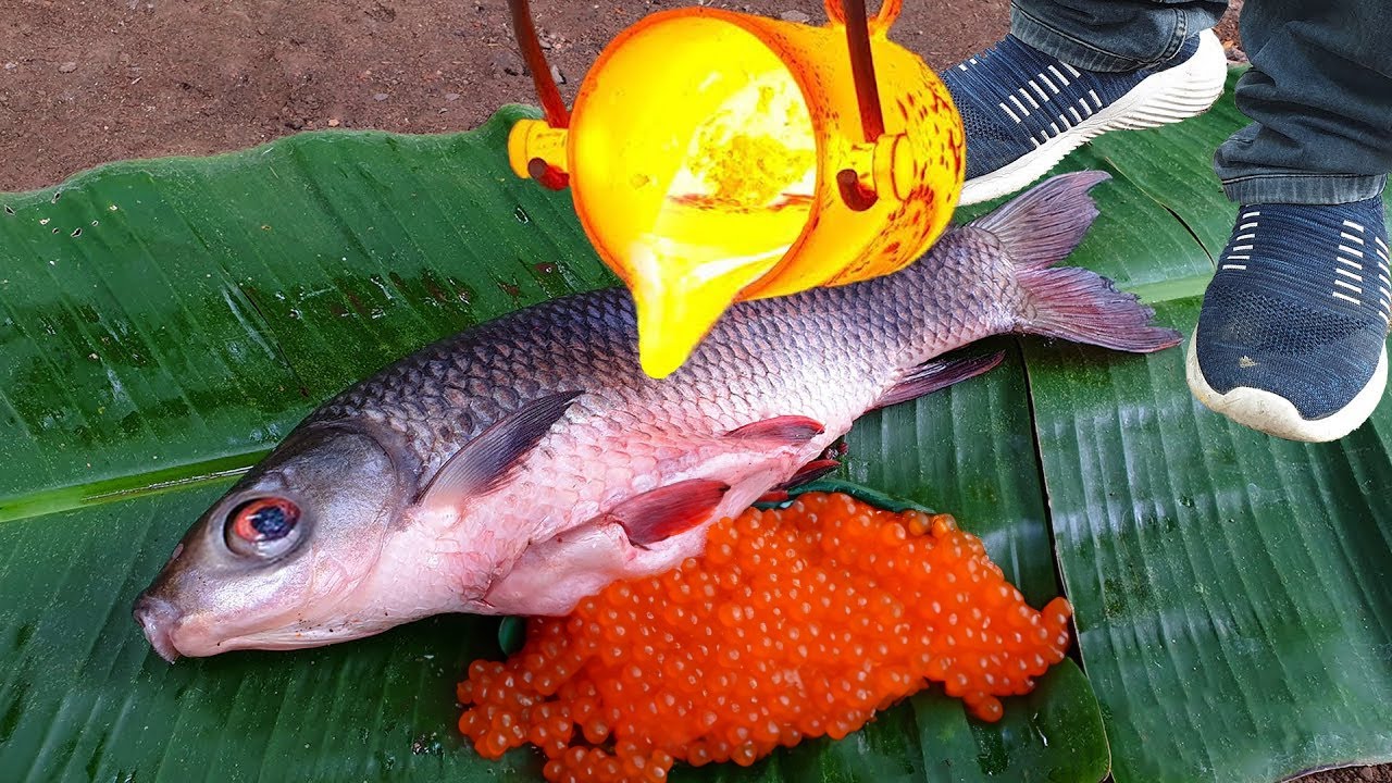 Experiment: Lava vs Fish full of Eggs