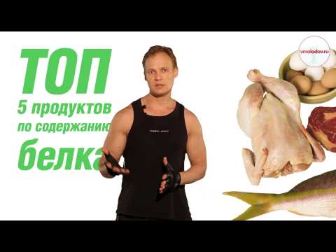 ТОП 5 продуктов по содержанию белка
