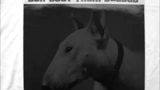 DER BEAT FROM BAGDAD  -   Come back to me
