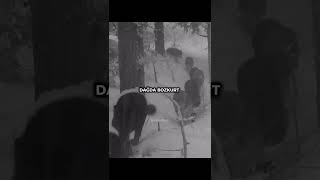 Gökte Kartal - Dağda Bozkurt - Ordusuürkkarakuvvetleri Şfetteyiz