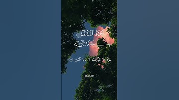 فتوكل على  الله إنك على الحق المبين#quran #قرآن #أجمل تلاوة بصوت جميل #توكل #تلاوات خاشعة