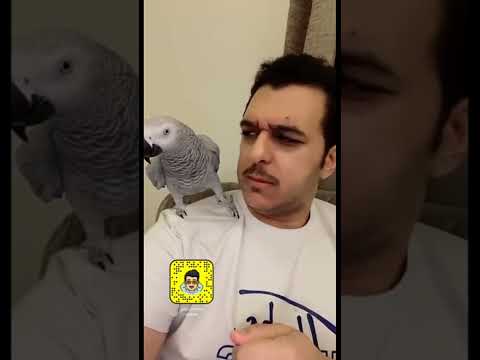 سعيد بن تركي عضني الوسخ وآنا أتفلسف