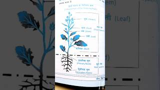 Untitled #roopamkids #scienceshorts #gk #education #meripathshala #roopamkidsspecial #sciencefacts