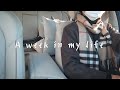 A Week In My Life : 일주일 일상 브이로그