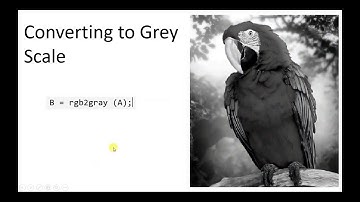 IEblog#19 -Matlab Tutorial for Image Colour channel  Separation