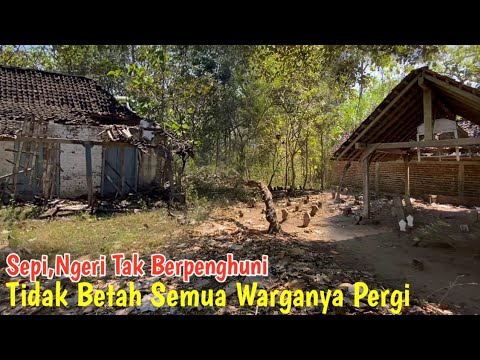 Di Jawa Timur Kampung Terbengkalai Mati Puluhan Tahun Silam