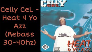 Celly Cel - Heat 4 Yo Azz Rebass (30-40hz)