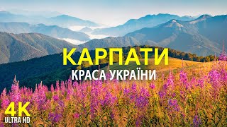 Унікальність Карпат - Культура і традиції мальовничого регіону України - Документальний фільм в 4К