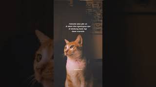 Download Lagu story wa galau ///== #shorts #katakatabijak MP3