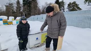 🔴 Что делать с подмором на снегу, рядом с ульями. При зимовке пчёл на воле 🔴