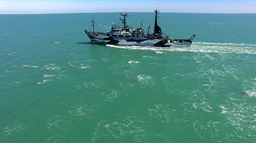 Op. Milagro III: The MV Sam Simon & the Dolphin Megapod