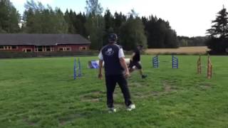 Canen Kane at agility class