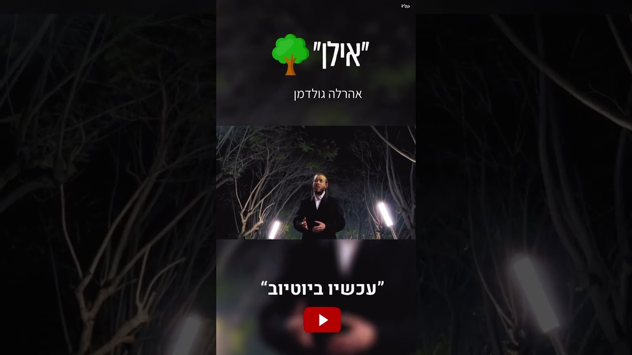 אהרלה גולדמן - ''אילן'' -(קאבר) #אילן #קאבר #שורטס #shorts