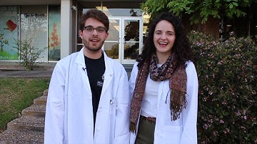 How Math is Used in Computer Graphics