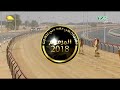 الشوط 2 الذيب لـ محمد ناصر المنهالي مهرجان ولي عهد دبي الجمعة 2018 2 16 المرموم ثنايا 8 كم 