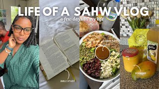 SAHW DIARIES ✨| Bible Study, Making Seamoss, Lunch Date, Shopping, + more
