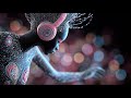 Closer | Melodic Techno &amp; House | Official Video | MHM