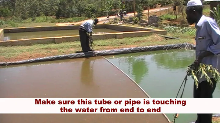 REMOVING POND  SCUM - A Simple but Effective Method