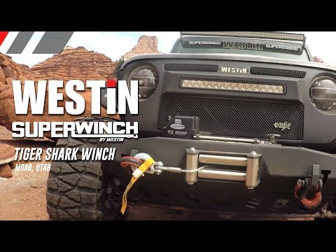 Superwinch Tiger Shark Winch