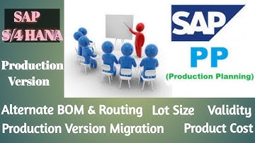 SAP PP S4 HANA  Production Version (C223)