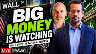 Institutional Money Watching Cannabis More Closely Again | TTB Presented by Flowhub