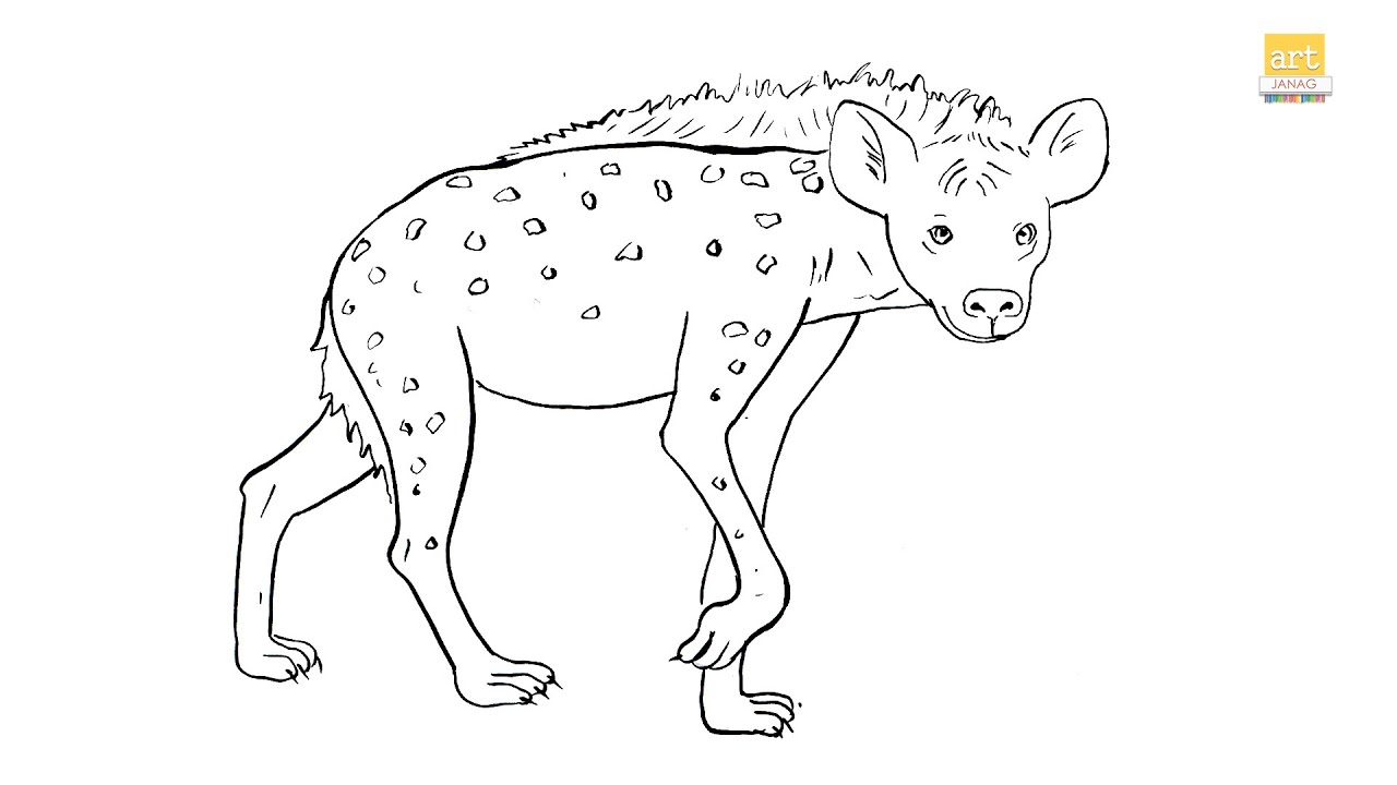 How to draw A Hyena drawing II Wild animals drawing II part 03 II artjanag   YouTube