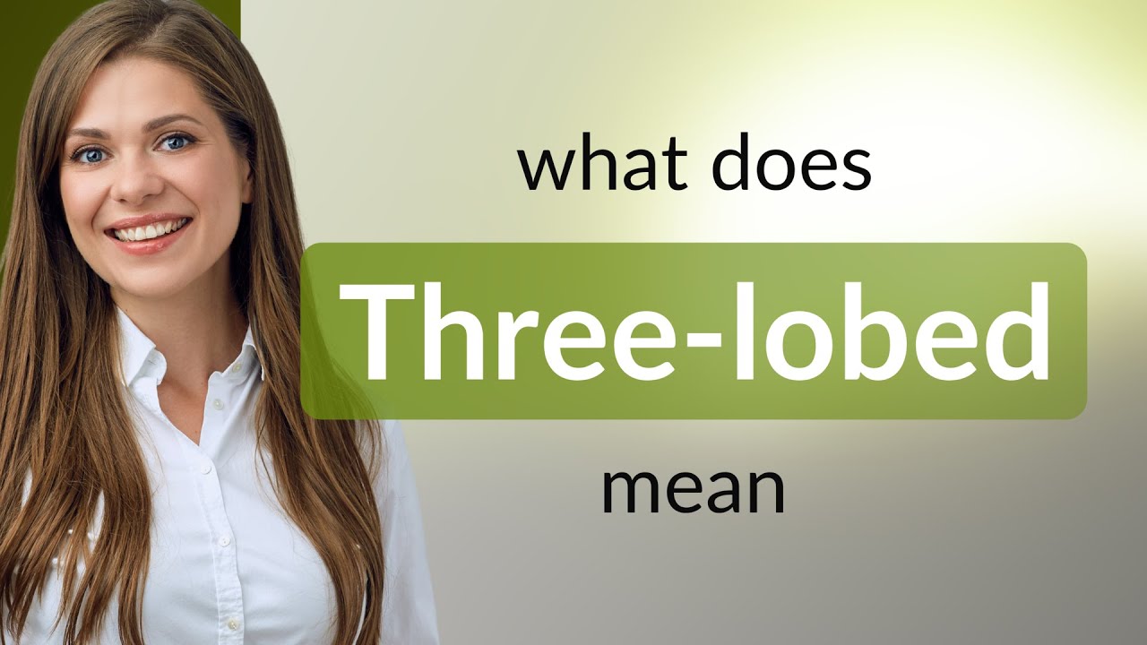 Three-lobed | THREE-LOBED meaning