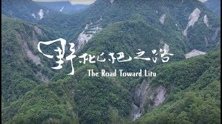 【野枇杷之路—南橫公路的利稻故事】The Road Toward Litu