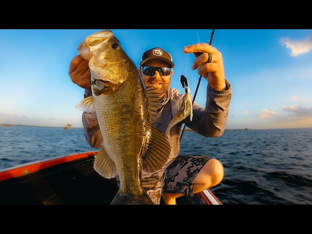 Chatterbait Fishing – Everything You Need To Know! (UNDERWATER FOOTAGE) —  Tactical Bassin' - Bass Fishing Blog