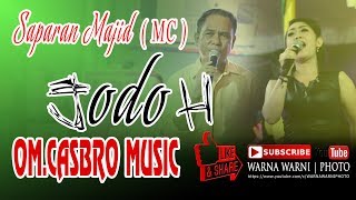 Jodoh || OM.CASBRO MUSIC PALEMBANG || WARNAWARNI || Desa Lalan