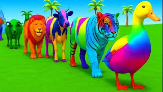 Download Lagu Long Slide Game With Elephant Gorilla Buffalo Hippopotamus Tiger 3d Animal Game Funny 3d Animals MP3