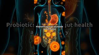 Top 5 Daily Supplements For A Healthy Body